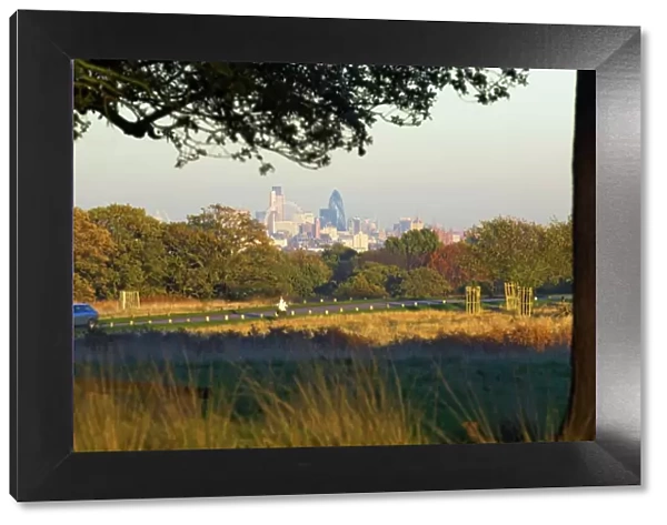 London skyline from Richmond Park, London, England, United Kingdom, Europe