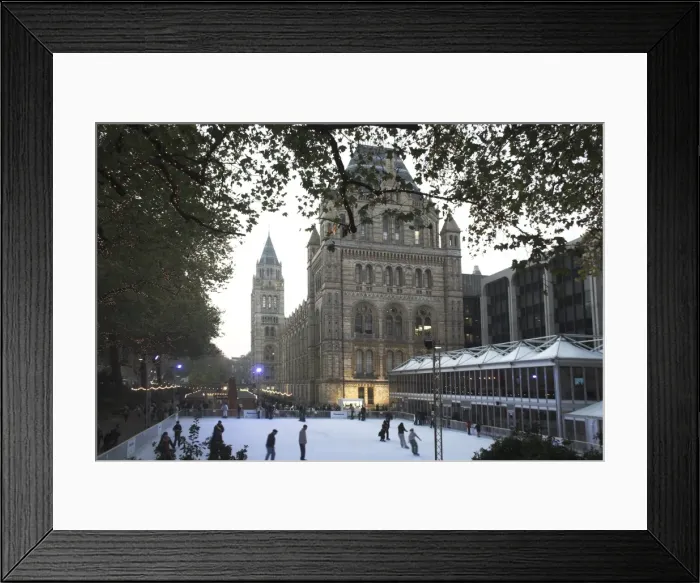 Framed Print : Christmas, Natural History Museum, Kensington, London, England, United Kingdom, Europe Framed Print : Christmas, Natural History Museum, Kensington, London, England, United Kingdom, Europe
