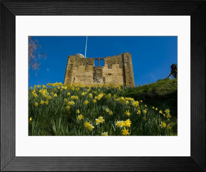 Framed Print : Guildford Castle, Guildford, Surrey, England, United Kingdom, Europe Framed Print : Guildford Castle, Guildford, Surrey, England, United Kingdom, Europe