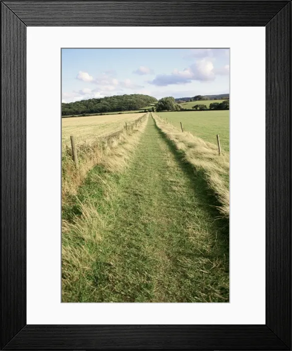Framed Print : Country path, Somerset, England, United Kingdom, Europe Framed Print : Country path, Somerset, England, United Kingdom, Europe