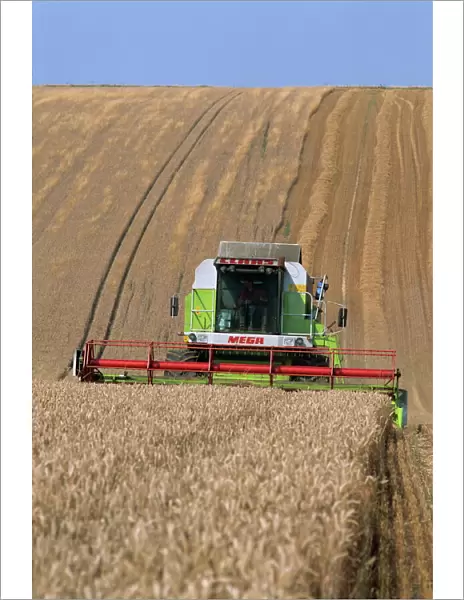 Cls combine harvester harvesting wheat grown on the downs in Wiltshire