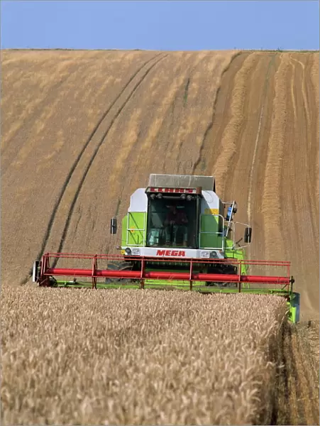 Cls combine harvester harvesting wheat grown on the downs in Wiltshire