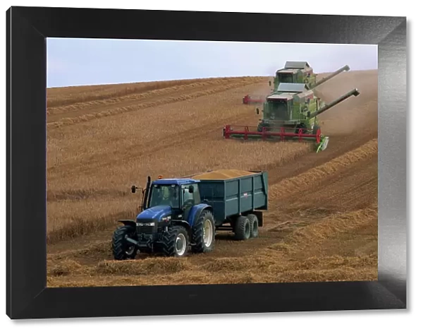 Ford tractor, Cls combine, wheat harvesting, Wiltshire, England, United Kingdom, Europe