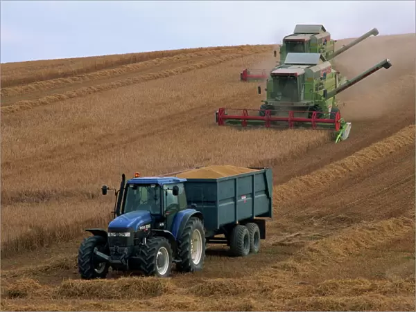 Ford tractor, Cls combine, wheat harvesting, Wiltshire, England, United Kingdom, Europe