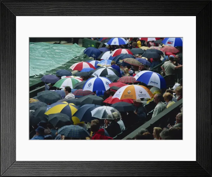 Framed Print : Umbrellas, Wimbledon tennis championships, London, England, United Kingdom, Europe Framed Print : Umbrellas, Wimbledon tennis championships, London, England, United Kingdom, Europe
