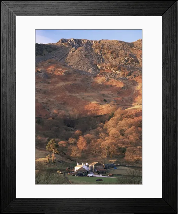 Framed Print : Farm and Lingmoor Fell at sunrise, Great Langdale, Lake District National Park Framed Print : Farm and Lingmoor Fell at sunrise, Great Langdale, Lake District National Park