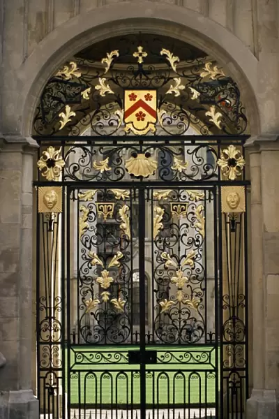Ornate gilt gate of All Souls College, Oxford, Oxfordshire, England