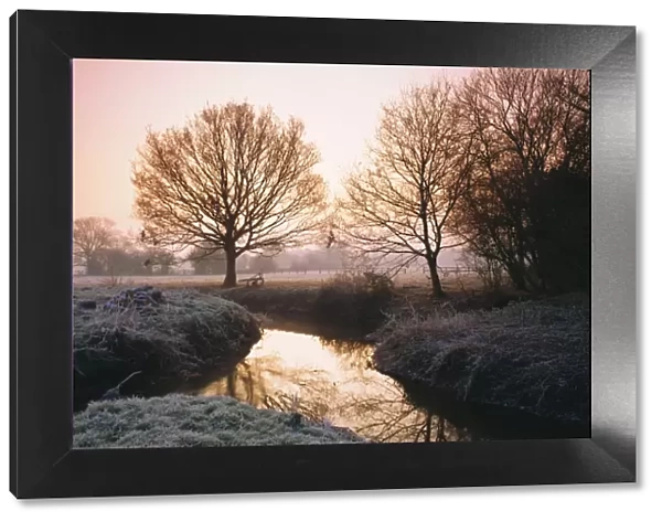 Winter dawn on the River Bourne, Chobham, Surrey, England, UK