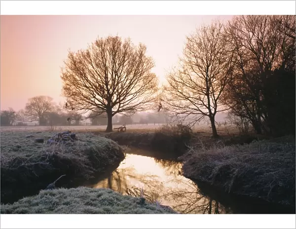 Winter dawn on the River Bourne, Chobham, Surrey, England, UK