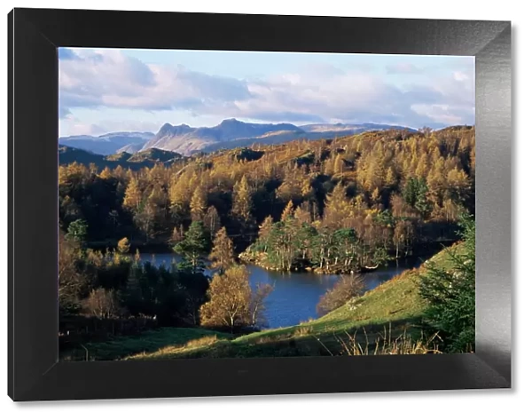 Tarn Hows, Lake District National Park, Cumbria, England, United Kingdom, Europe