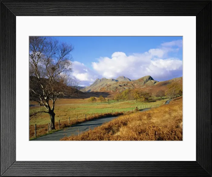 Framed Print : Langdale Pikes from Blea Tarn, Lake District National Park, Cumbria, England, UK Framed Print : Langdale Pikes from Blea Tarn, Lake District National Park, Cumbria, England, UK