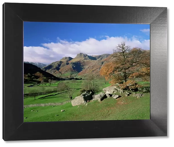 Langdale Pikes from Great Langdale, Lake District National Park, Cumbria
