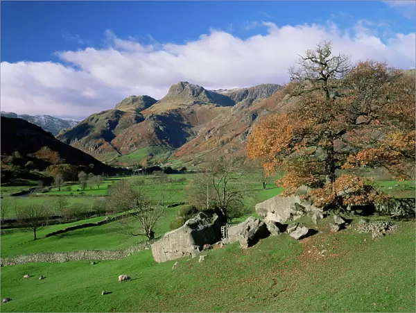 Langdale Pikes from Great Langdale, Lake District National Park, Cumbria