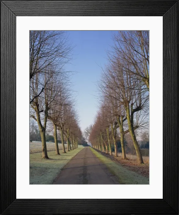 Framed Print : Straight, empty tree lined road in winter, near Mickleham, Surrey, England Framed Print : Straight, empty tree lined road in winter, near Mickleham, Surrey, England