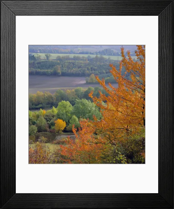 Framed Print : The North Downs, near Dorking, Surrey, England, UK, Europe Framed Print : The North Downs, near Dorking, Surrey, England, UK, Europe