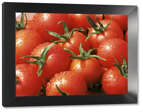 Close-up of tomatoes, England, United Kingdom, Europe
