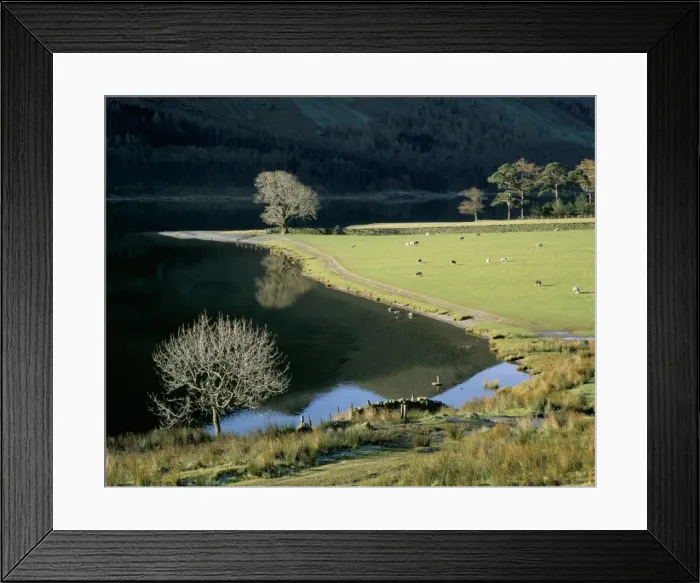 Framed Print : Footpath, Buttermere, Lake District National Park, Cumbria, England, United Kingdom Framed Print : Footpath, Buttermere, Lake District National Park, Cumbria, England, United Kingdom