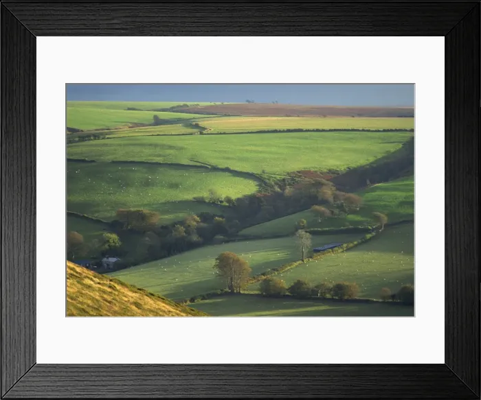 Framed Print : Rural landscape near Oare, Exmoor, Somerset, England, United Kingdom, Europe Framed Print : Rural landscape near Oare, Exmoor, Somerset, England, United Kingdom, Europe