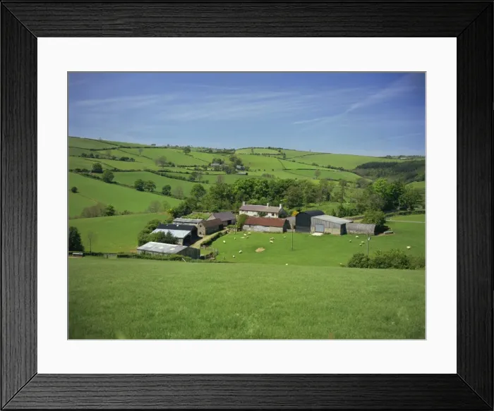 Framed Print : Farm near Clun, Shropshire, England, United Kingdom, Europe Framed Print : Farm near Clun, Shropshire, England, United Kingdom, Europe