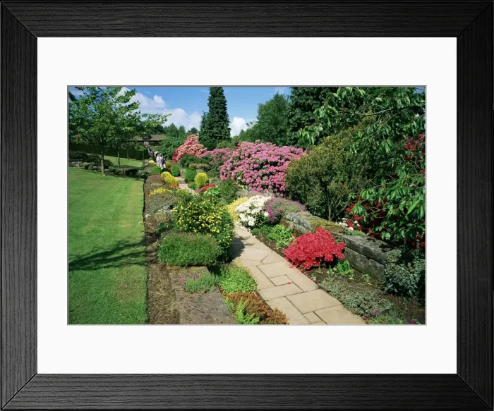 Framed Print : Tirley-Garth Gardens, Cheshire, England, United Kingdom, Europe Framed Print : Tirley-Garth Gardens, Cheshire, England, United Kingdom, Europe