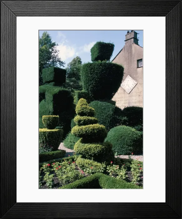 Framed Print : Topiary, Levens Hall, Cumbria, England, United Kingdom, Europe Framed Print : Topiary, Levens Hall, Cumbria, England, United Kingdom, Europe