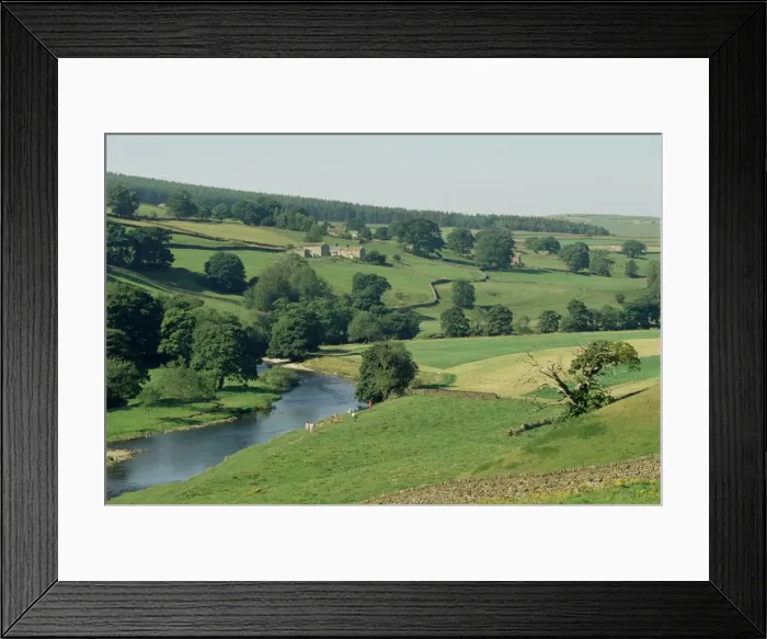 Framed Print : River Wharfe, Barden Bridge near Bolton, Yorkshire, England, United Kingdom, Europe Framed Print : River Wharfe, Barden Bridge near Bolton, Yorkshire, England, United Kingdom, Europe