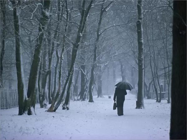 Man with umbrella and briefcase walks under bare trees in winter, with snow falling