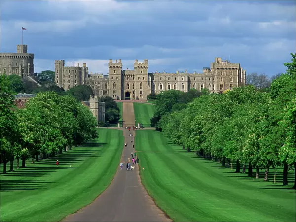 Long Walk from Windsor Castle, Berkshire, England, United Kingdom, Europe