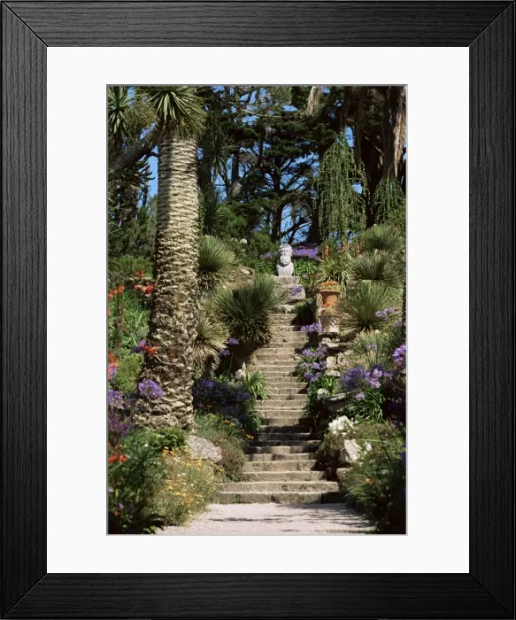 Framed Print : Abbey Gardens, Tresco, Isles of Scilly, United Kingdom, Europe Framed Print : Abbey Gardens, Tresco, Isles of Scilly, United Kingdom, Europe