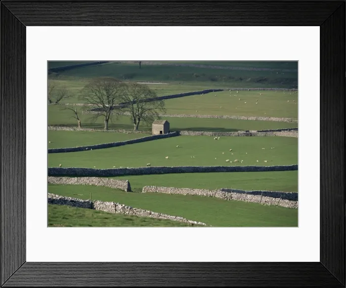 Framed Print : Stone walls, Malham and Wharfedale, Yorkshire, England, United Kingdom, Europe Framed Print : Stone walls, Malham and Wharfedale, Yorkshire, England, United Kingdom, Europe