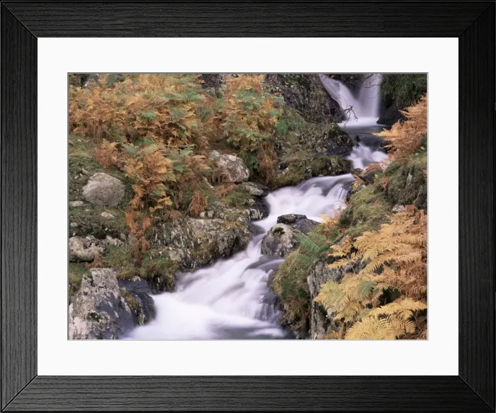 Framed Print : Waterfall in autumn, Lake District, Cumbria, England, United Kingdom, Europe Framed Print : Waterfall in autumn, Lake District, Cumbria, England, United Kingdom, Europe