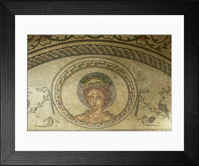 Framed Print : Mosaic of Venus, Bignor Roman villa, West Sussex, England, United Kingdom, Europe Framed Print : Mosaic of Venus, Bignor Roman villa, West Sussex, England, United Kingdom, Europe