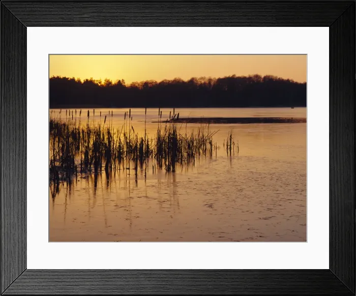 Framed Print : Sunset over frozen Frensham Pond, Frensham, Surrey England, UK, Europe Framed Print : Sunset over frozen Frensham Pond, Frensham, Surrey England, UK, Europe