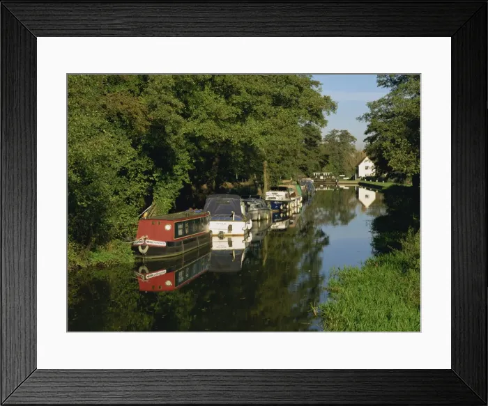 Framed Print : Moored boats on the Wey navigation from the south side of Craft Lock, Sutton Green