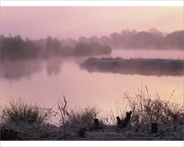 Lake on a frosty autumn morning with mist rising from Colebrook Lake South in Moor Green Lakes Nature Reserve, Finchamstead, Berkshire, England, United