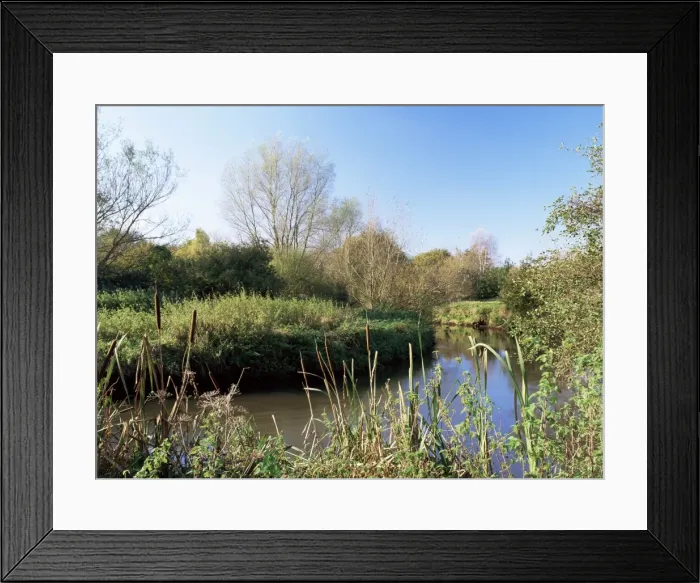 Framed Print : River Blackwater, forms the boundary to Moor Green Lakes nature reserve Framed Print : River Blackwater, forms the boundary to Moor Green Lakes nature reserve
