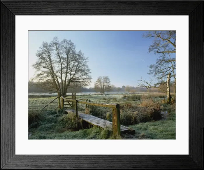 Framed Print : Frost at Thundery Meadows where River Wey runs through the Surrey Wildlife Trusts wetland reserve Framed Print : Frost at Thundery Meadows where River Wey runs through the Surrey Wildlife Trusts wetland reserve