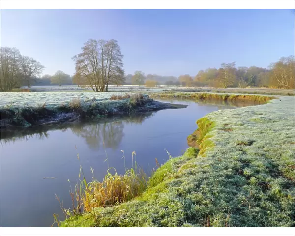 A frosty morning on Surrey Wildlife Trusts wetland reserve, The River Wey at Thundery Meadows