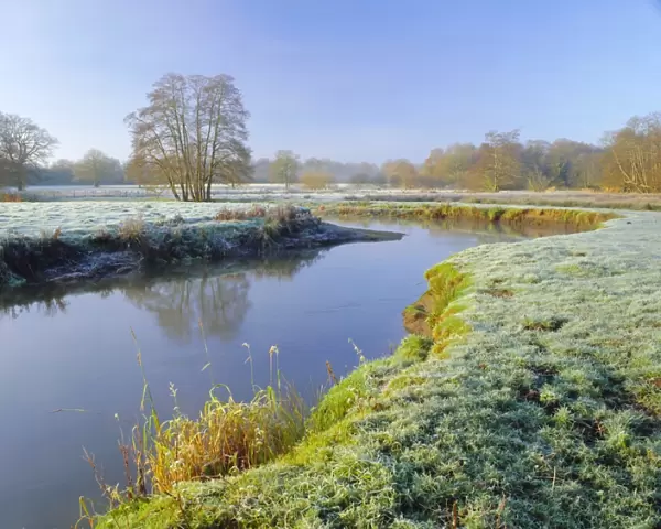 A frosty morning on Surrey Wildlife Trusts wetland reserve, The River Wey at Thundery Meadows