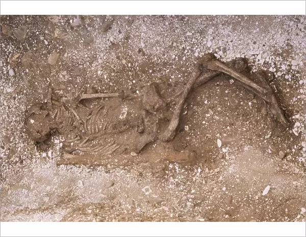 Remains of an Iron Age woman, excavated in 1976 near Rudston, East Yorkshire