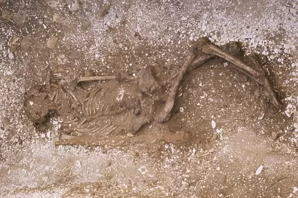 Remains of an Iron Age woman, excavated in 1976 near Rudston, East Yorkshire