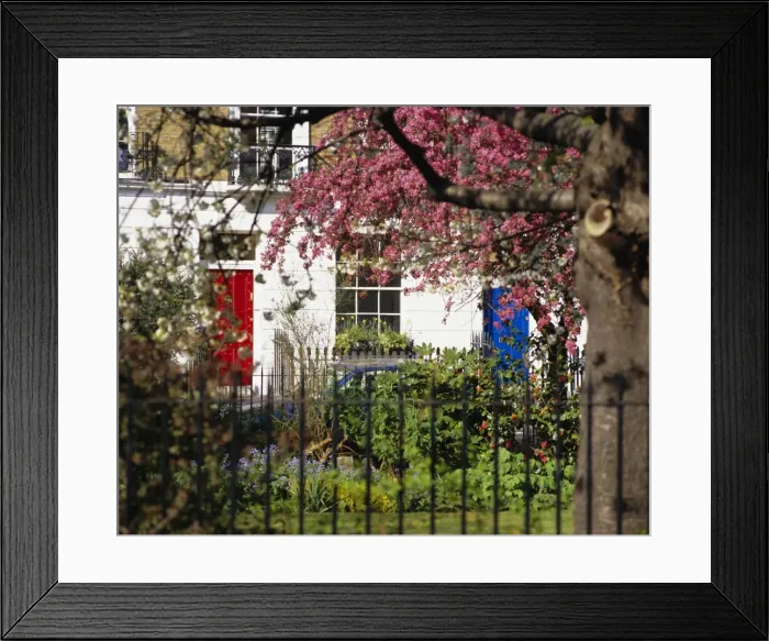 Framed Print : Markham Square, Chelsea, London, England, UK Framed Print : Markham Square, Chelsea, London, England, UK