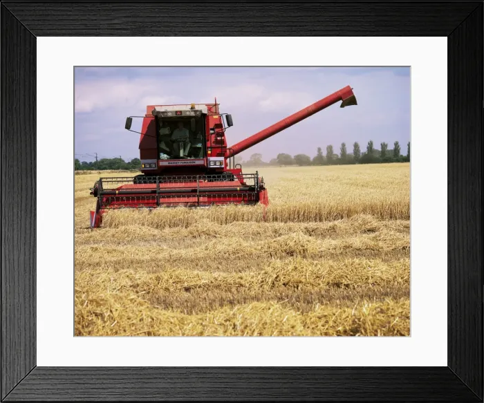 Framed Print : Combine harvester in field, Nottinghamshire, England, United Kingdom, Europe Framed Print : Combine harvester in field, Nottinghamshire, England, United Kingdom, Europe