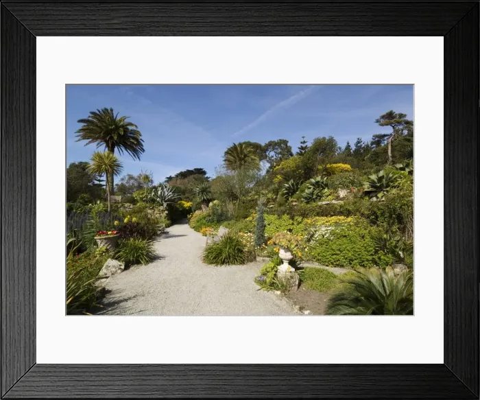 Framed Print : The Abbey Gardens, Tresco, Isles of Scilly, off Cornwall, United Kingdom, Europe Framed Print : The Abbey Gardens, Tresco, Isles of Scilly, off Cornwall, United Kingdom, Europe
