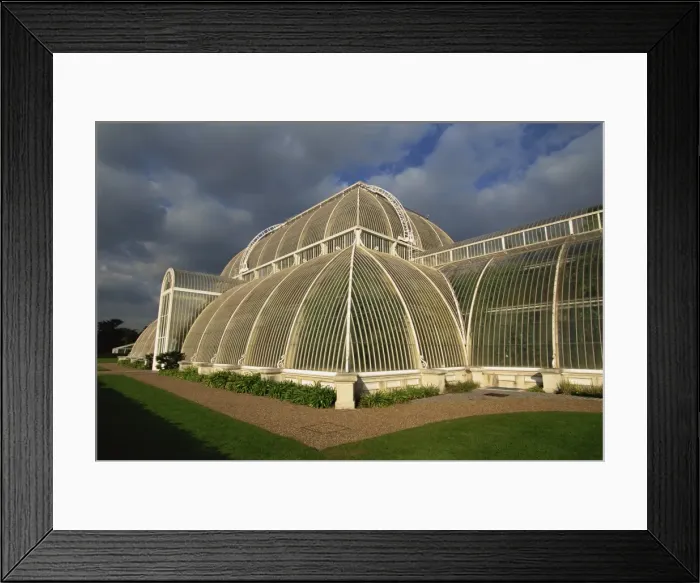 Framed Print : Exterior of the Palm House, the Royal Botanic Gardens at Kew (Kew Gardens) Framed Print : Exterior of the Palm House, the Royal Botanic Gardens at Kew (Kew Gardens)