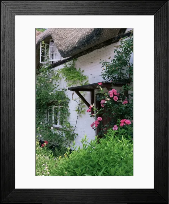 Framed Print : Cottage and flowers, Wherwell, Hampshire, England, United Kingdom, Europe Framed Print : Cottage and flowers, Wherwell, Hampshire, England, United Kingdom, Europe