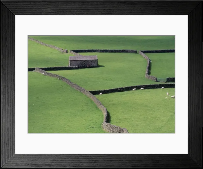 Framed Print : Stone barn and dry stone walls, Gunnerside, Swaledale, Yorkshire, England Framed Print : Stone barn and dry stone walls, Gunnerside, Swaledale, Yorkshire, England