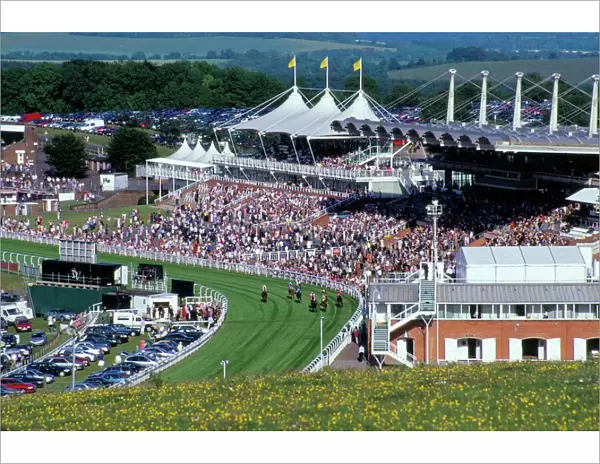Horses racing and crowds, Goodwood Racecourse, West Sussex, England, United Kingdom