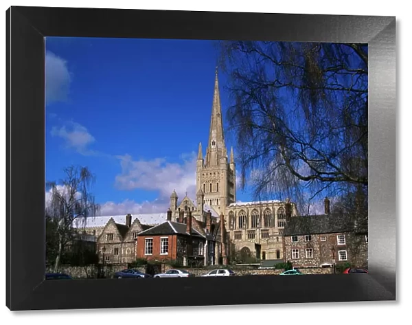 Norwich Cathedral from the Close, Norwich, Norfolk, England, United Kingdom, Europe