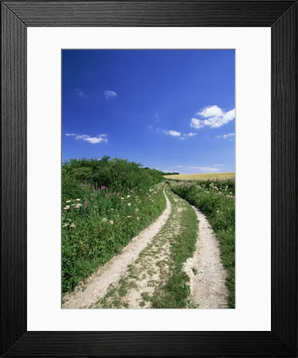 Framed Print : Curved path through countryside, Old Winchester Hill, Hampshire, England Framed Print : Curved path through countryside, Old Winchester Hill, Hampshire, England